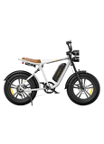 Engwe M20 E-bike