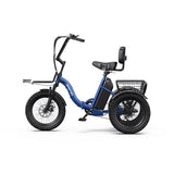 APEFOX   RH30   Electric   Trike