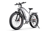 DUOTTS F26 LITE E-BIKE
