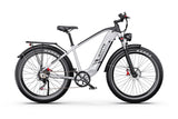 DUOTTS F26 LITE E-BIKE