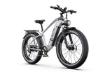 DUOTTS F26 LITE E-BIKE