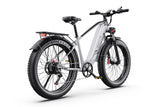 DUOTTS F26 LITE E-BIKE