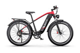 DUOTTS F26 LITE E-BIKE