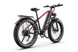DUOTTS F26 LITE E-BIKE