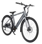 Viva ST E-BIKE