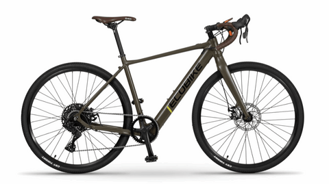 Gravel electric bike EcoBike Forest