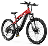DUOTTS E29 MTB E-BIKE