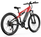 DUOTTS E29 MTB E-BIKE