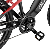 DUOTTS E29 MTB E-BIKE