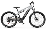 DUOTTS E29 MTB E-BIKE