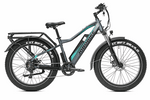 JOBOBIKE ROBIN