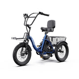 APEFOX   RH30   Electric   Trike