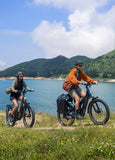 ENGWE E26 3.0 Pro official gallery image 2